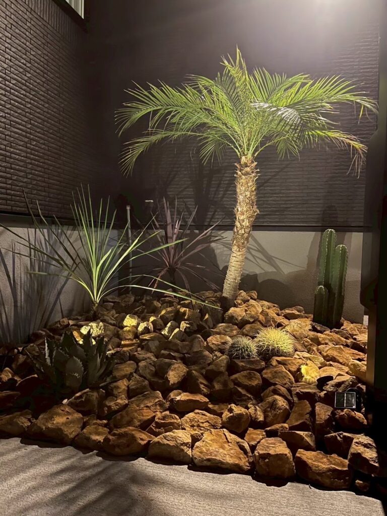 ヤシの木販売と南国風の庭づくり｜全国対応の中島造園が叶えるリゾート